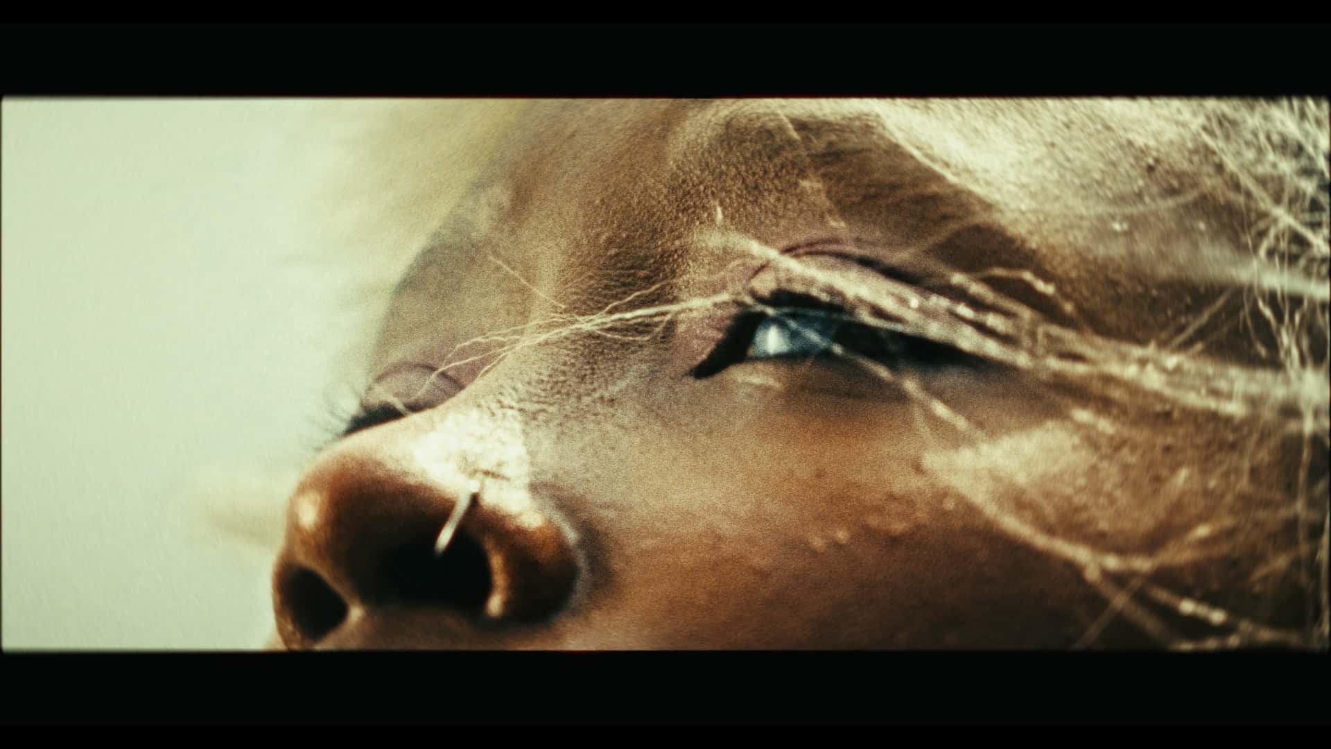 Otamatsuri — cinematic cosplay film by Nataka Inc, shot with Kenya's anime community
